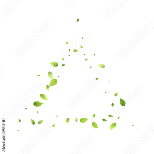 Leaves Falling. Spring Flying Foliage. Chaotic Green Leaf Flying On Transparent Background. Forest Design, Nature Elements. Ecology Vector Illustration. Environment Backdrop.