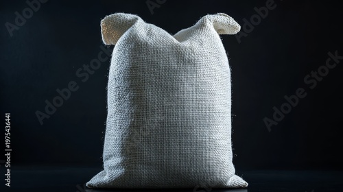 Agricultural product packaging concept showing a white woven sack standing upright, slight bulge at base to imply filled weight, high contrast lighting
