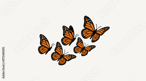 Group of Monarch Butterflies on a White Background