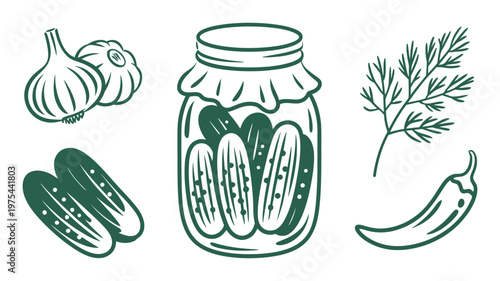 Hand drawn pickled cucumbers in jar, accompanied by garlic, dill, and chili, high quality professional detailed modern culinary vector illustration.