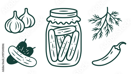 Hand drawn pickled cucumbers in jar, accompanied by garlic, dill, and chili, high quality professional detailed modern culinary vector illustration.