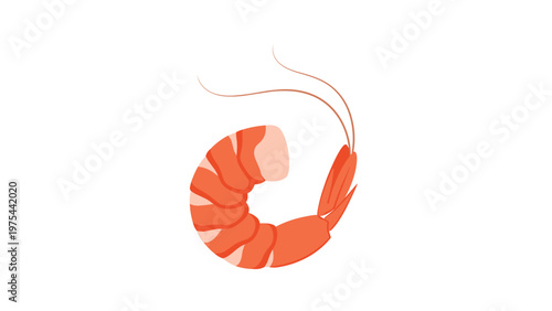Detailed illustration of a single curled, pink cooked shrimp showing its segments and long antennae on white background.