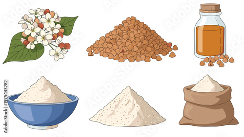 Complete set of buckwheat products featuring the plant with flowers, raw grains, a bottle of oil, flour in a bowl, and a sack.