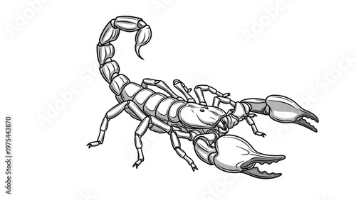 Detailed black and white scorpion illustration showing the pincers, segmented body, and curved stinger in a realistic style.