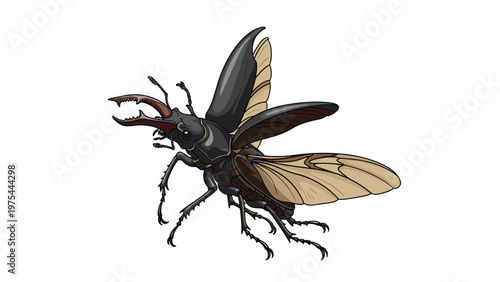Impressive stag beetle with large mandibles is shown in mid-flight with its wings fully extended in a detailed scientific illustration.