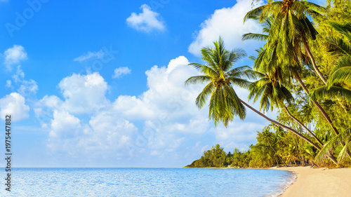     Go to Page|123456Next

Sea beach, ocean landscape, paradise tropical island, beautiful nature panorama, coconut palm trees green leaves, blue water, white sand, bright sunny sky, clouds, summer ho