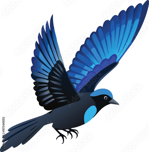 A vibrant blue jay soars with wings fully extended forward