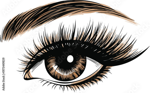 Close up illustration of a detailed human eye with long lashes