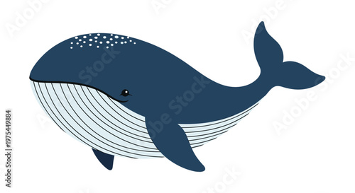Majestic blue whale swimming gracefully through the water depicted in a clean and modern flat illustration style on a white background.