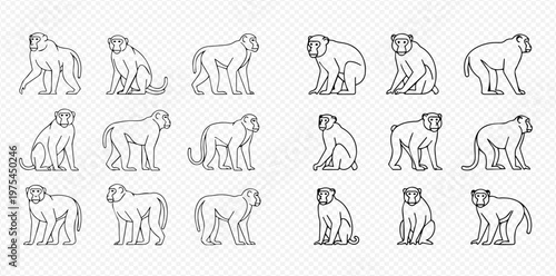 Set of monkey line art illustrations in various poses, isolated on transparent background.