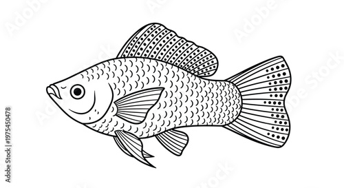 Detailed line drawing of a tropical fish with large fins and patterned scales representing the beauty of marine life and ocean biology.