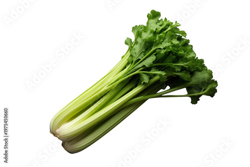 Fresh green celery stalks on transparent background, popular healthy organic vegetable for cooking and diet meals