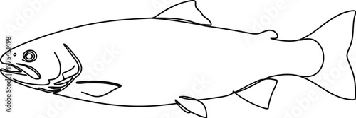 Simple line drawing of a salmon fish facing left on white background