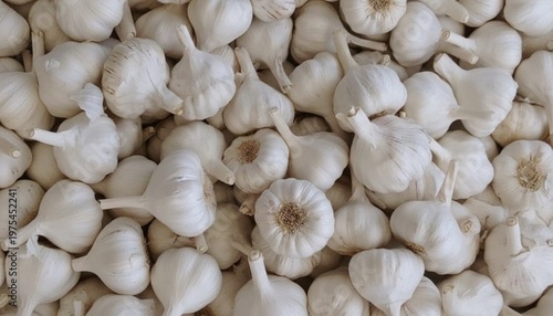 A large pile of fresh white garlic bulbs with papery skin