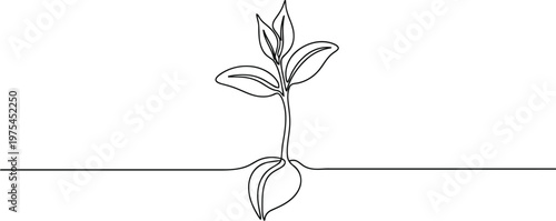 Minimalist single line drawing of a young plant growing from a seed