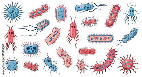 Large collection of colorful bacteria and germ characters with different shapes and features used for medical or scientific educational content.