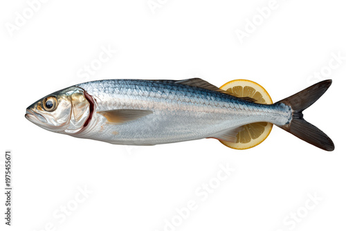 Whole fresh raw fish with lemon slices on transparent background, preparing seafood for a healthy meal