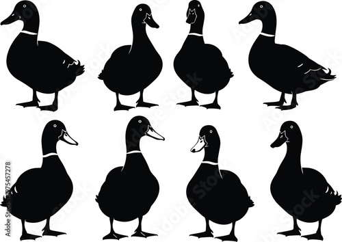 Duck silhouette vector set with different standing poses waterfowl bird icons minimal black shape collection isolated on white background