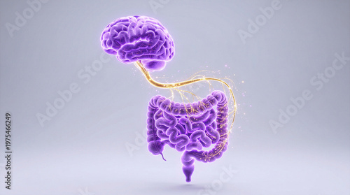 Brain Gut Connection Concept Illustration Showing Nervous System Link
