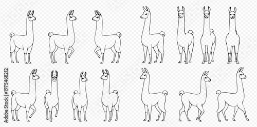 Set of outline llama illustrations in various poses, showcasing different angles and movements of the animal.