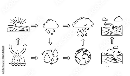 A detailed vector graphic illustration depicting the water cycle process in a simple and flat design style with black lines on a white background