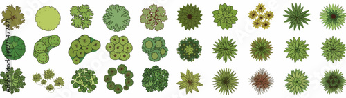 Collection of various top-down tree illustrations representing different species and growth stages, perfect for architectural visualizations and landscape design projects