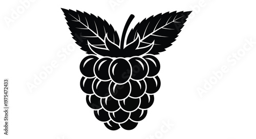Black raspberry icon with leaves on white background, flat design, vector illustration