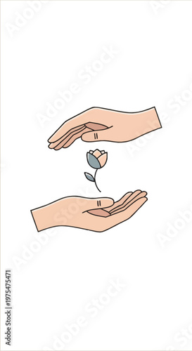 Hands holding and releasing a rose.