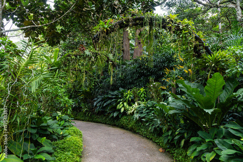 Views of the Singapore botanic gardens