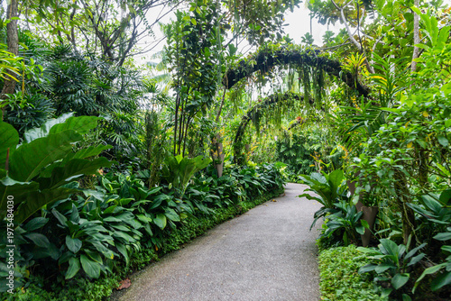 Views of the Singapore botanic gardens