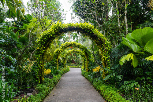 Views of the Singapore botanic gardens