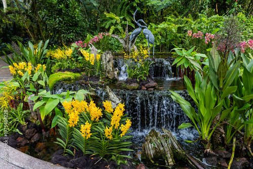 Views of the Singapore botanic gardens