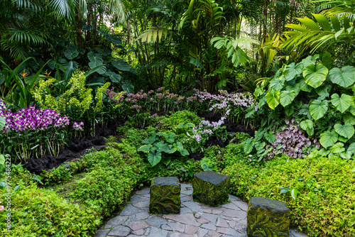 Views of the Singapore botanic gardens