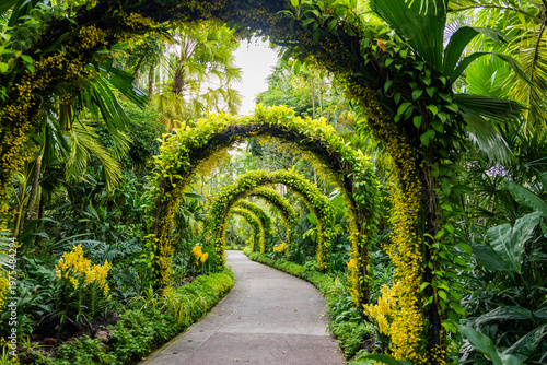 Views of the Singapore botanic gardens