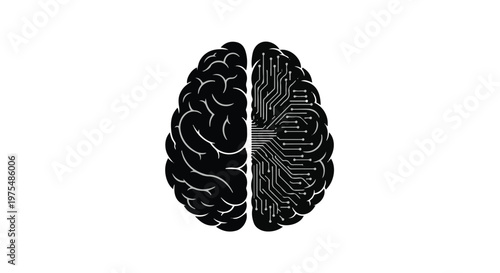 Black and white illustration of human brain