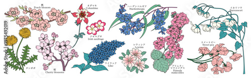 様々な花のグラフィック素材（桃、タンポポ、桜、オダマキ、クモマグサ、ライラック、ハーデンベルギア、レウィシア、プリムラ・マラコイデス、スイートピー、イカリソウ）