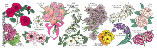 様々な花のグラフィック素材（バラ、アカツメクサ、フランネルフラワー、牡丹、チューリップ、すずらん、マツバギク、夏椿、キバナコスモス、カサブランカ、芍薬、紫蘭、カーネーション）