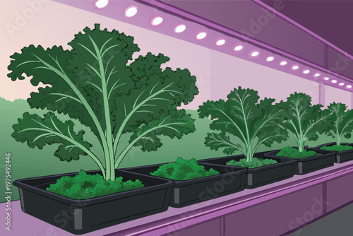 Growing Kale Vertical Farm Illust