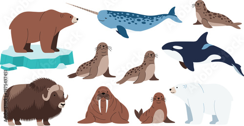 Arctic and Antarctic Animals Vector Illustration Set Featuring Polar Bear, Walrus, Seal, Orca, Narwhal and Cold Climate Wildlife Collection.