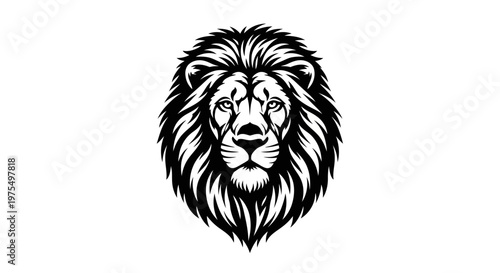 Black and white lion head portrait.
