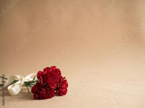Red Carnation with Ribbon on Neutral Surface – Mother’s Day and Gratitude Concept