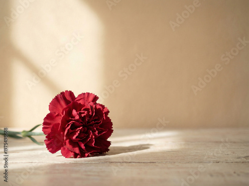 Red Carnation
