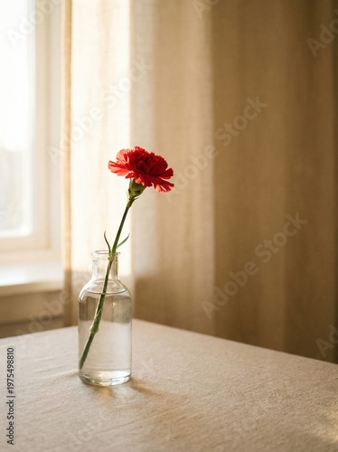 Single Red Flower in Glass Bottle by Window – Minimal Calm and Emotional Interior Concept