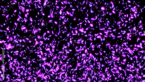 舞い上がる紫のクレマチスの花びら、4K画質、背景透過のループ映像素材
