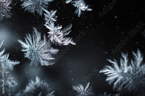 Macro Shot Of Intricate Ice Crystals Forming Delicate Fern Like Structures Against A Dark Blurred Background With Soft Light Enhancing Their Texture And Sparkle
