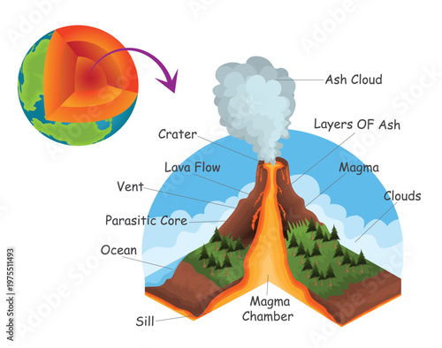 Educational illustration showing volcano anatomy with magma chamber, lava flow, ash cloud, and geological layers for earth science learning. Volcano structure diagram with labelled magma flow.