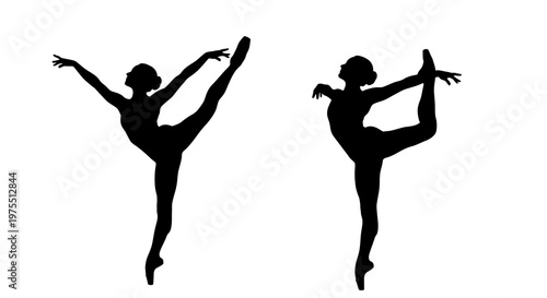Silhouette of two ballet dancers performing.
