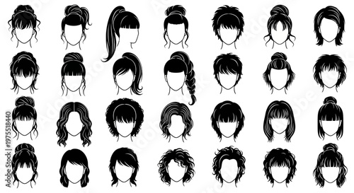 Various hairstyles for women illustrations.