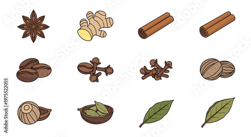 Collection of aromatic spices and coffee beans for culinary use