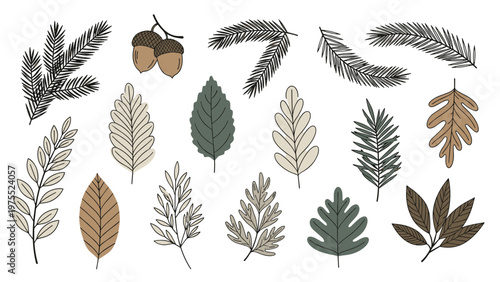 Hand-drawn collection of various autumn leaves, evergreen branches, and acorns in muted earthy tones of brown and green.